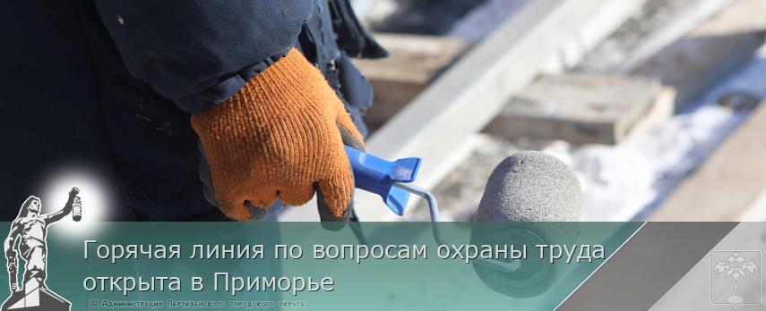 Горячая линия по вопросам охраны труда открыта в Приморье