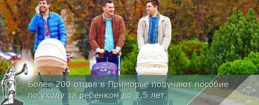 Более 200 отцов в Приморье получают пособие по уходу за ребенком до 1,5 лет | Администрация муниципального округа город Партизанск Приморского края Официальный сайт