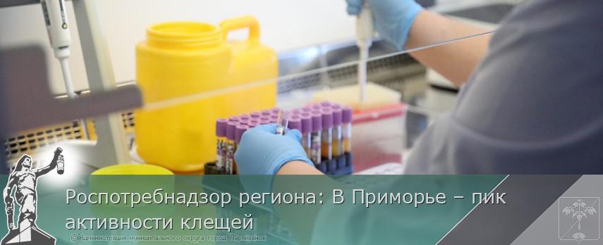 Роспотребнадзор региона: В Приморье – пик активности клещей | Администрация муниципального округа город Партизанск Приморского края Официальный сайт Роспотребнадзор региона: В Приморье – пик активности клещей | Администрация муниципального округа город Партизанск Приморского края Официальный сайт