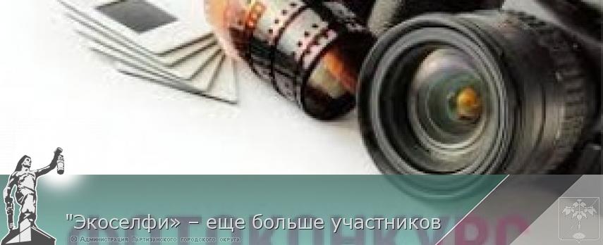 "Экоселфи» – еще больше участников | Администрация муниципального округа город Партизанск Приморского края Официальный сайт "Экоселфи» – еще больше участников | Администрация муниципального округа город Партизанск Приморского края Официальный сайт