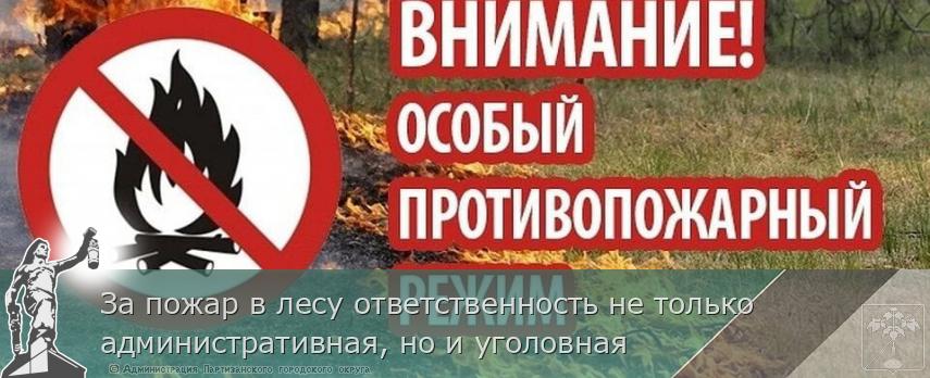 За пожар в лесу ответственность не только административная, но и уголовная | Администрация муниципального округа город Партизанск Приморского края Официальный сайт За пожар в лесу ответственность не только административная, но и уголовная | Администрация муниципального округа город Партизанск Приморского края Официальный сайт