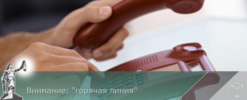 Внимание: &quot;горячая линия&quot; | Администрация муниципального округа город Партизанск Приморского края Официальный сайт
