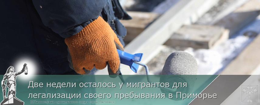 Две недели осталось у мигрантов для легализации своего пребывания в Приморье