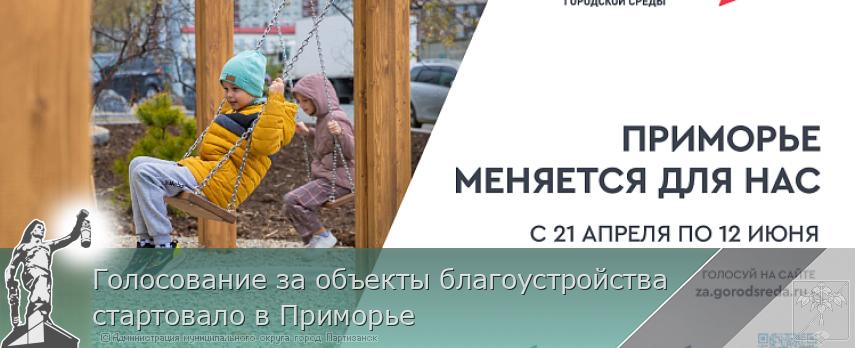 Голосование за объекты благоустройства стартовало в Приморье