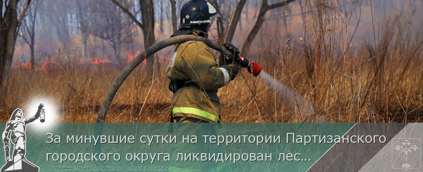 За минувшие сутки на территории Партизанского городского округа ликвидирован лесной пожар