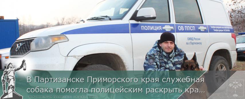 В Партизанске Приморского края служебная собака помогла полицейским раскрыть кражу | Администрация муниципального округа город Партизанск Приморского края Официальный сайт
