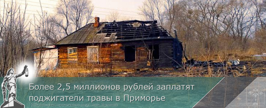 Более 2,5 миллионов рублей заплатят поджигатели травы в Приморье