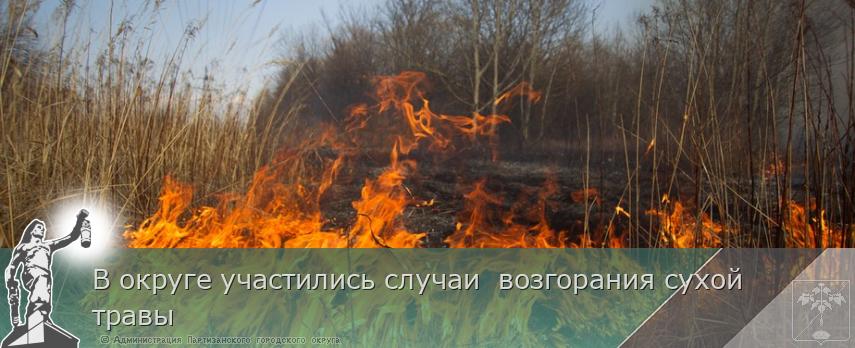 В округе участились случаи возгорания сухой травы | Администрация муниципального округа город Партизанск Приморского края Официальный сайт В округе участились случаи возгорания сухой травы | Администрация муниципального округа город Партизанск Приморского края Официальный сайт