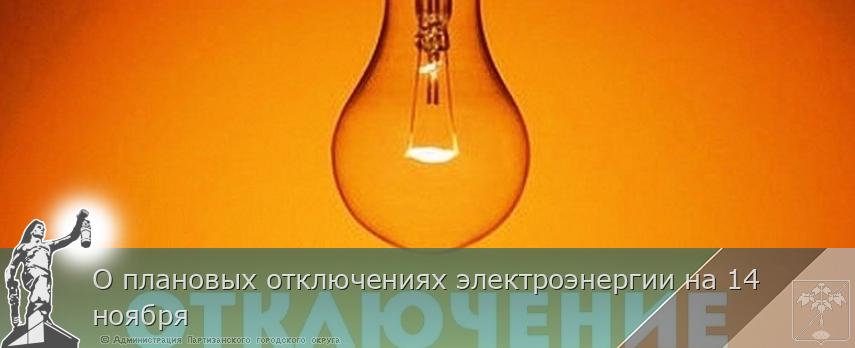 О плановых отключениях электроэнергии на 14 ноября  | Администрация муниципального округа город Партизанск Приморского края Официальный сайт