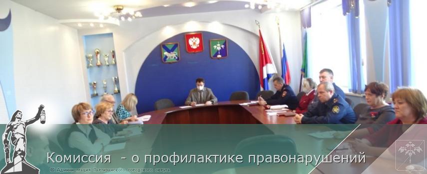 Комиссия  - о профилактике правонарушений | Администрация муниципального округа город Партизанск Приморского края Официальный сайт