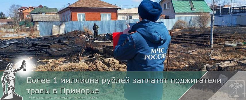 Более 1 миллиона рублей заплатят поджигатели травы в Приморье