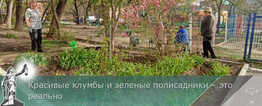 Красивые клумбы и зеленые полисадники – это реально  | Администрация муниципального округа город Партизанск Приморского края Официальный сайт