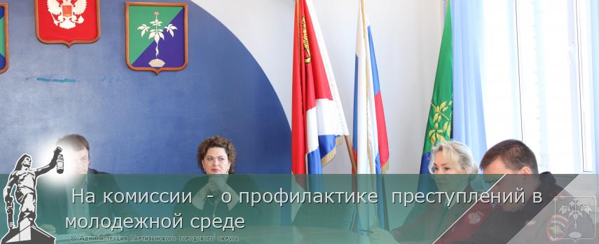  На комиссии  - о профилактике  преступлений в молодежной среде  | Администрация муниципального округа город Партизанск Приморского края Официальный сайт