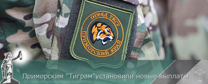 Приморским &quot;Тиграм&quot;установили новые выплаты