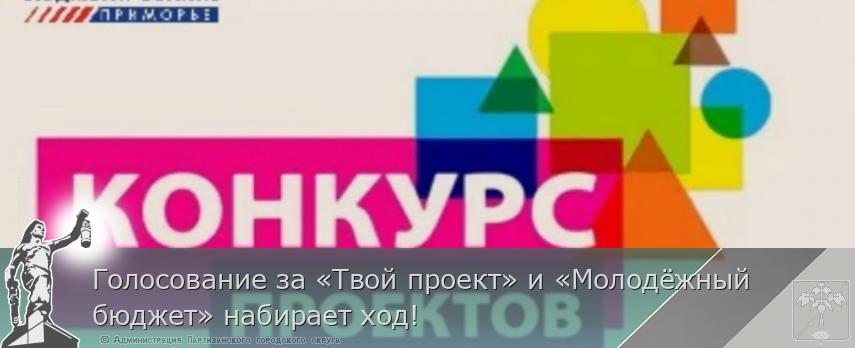 Голосование за «Твой проект» и «Молодёжный бюджет» набирает ход! | Администрация муниципального округа город Партизанск Приморского края Официальный сайт